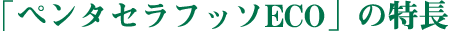 ペンタセラフッソエコの特長