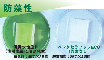 防藻性