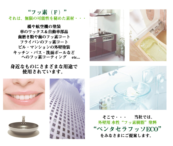 ペンタセラフッソエコの塗料説明