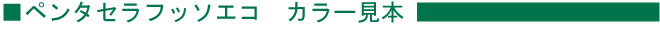 ペンタセラフッソエコのカラー色見本
