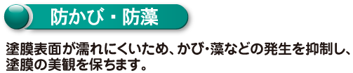 防かび・坊藻　塗膜上面が濡れにくいため、かび・藻などの発生を抑制し、塗膜の美観を保ちます。