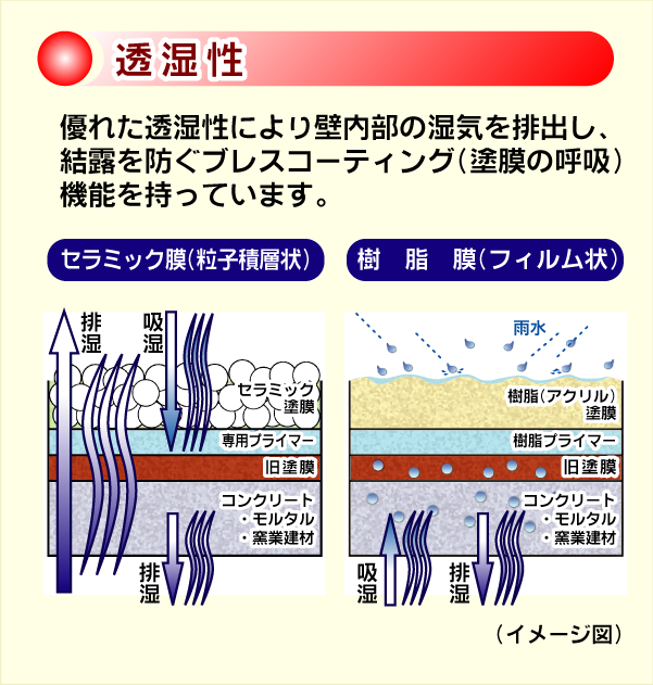 透湿性。優れた透湿性により壁内部の湿気を排出し、結露を防ぐブレスコーティング（塗膜の呼吸）機能を持っています。