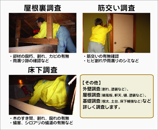 耐震診断の内容。屋根裏調査、筋交い調査、床下調査など