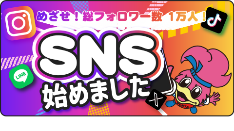 sns