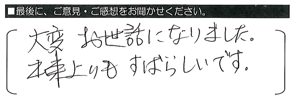 大変お世話になりました。出来上がりもすばらしいです。
