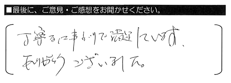 丁寧な仕事ぶりで満足しています。ありがとうございました。