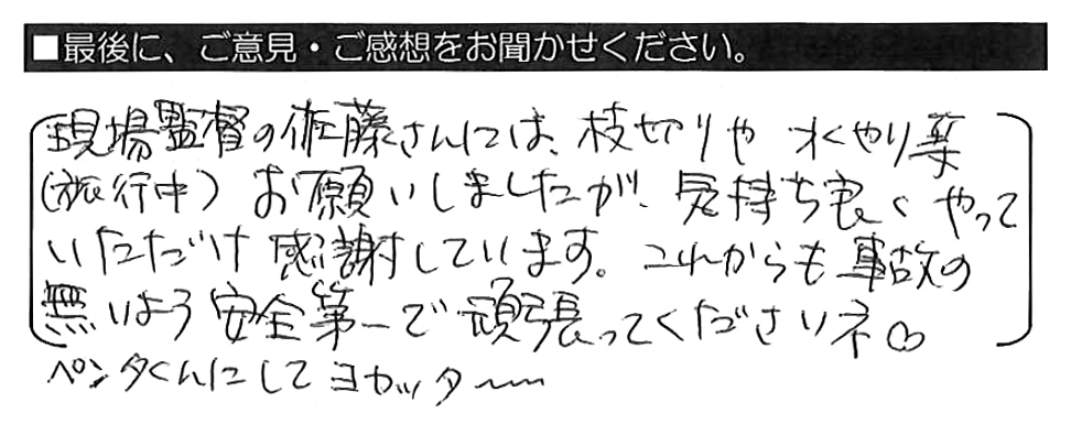 現場監督の佐藤さんには、枝切りや水やり等（旅行中）お願いしましたが、気持ち良くやっていただけ感謝しています。これからも事故の無いよう安全第一で頑張って下さいネ♡  ペンタくんにしてヨカッタ～