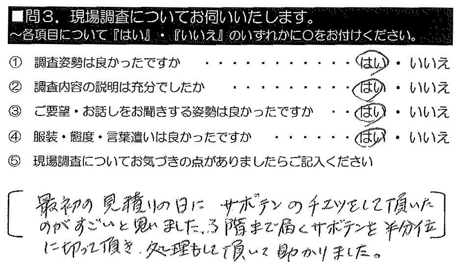 最初の見積もりの日にサボテンのチェックをして頂いたのがすごいと思いました。3階まで届くサボテンを半分位に切って頂き、処理もして頂いて助かりました。