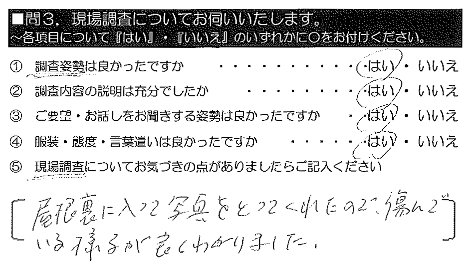 屋根裏に入って写真をとってくれたので、傷んでいる様子が良くわかりました。