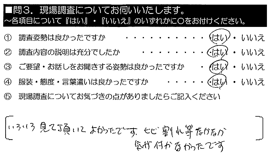 いろいろ見て頂いて良かったです。ヒビ割れ等なかなか気が付かなかったです。