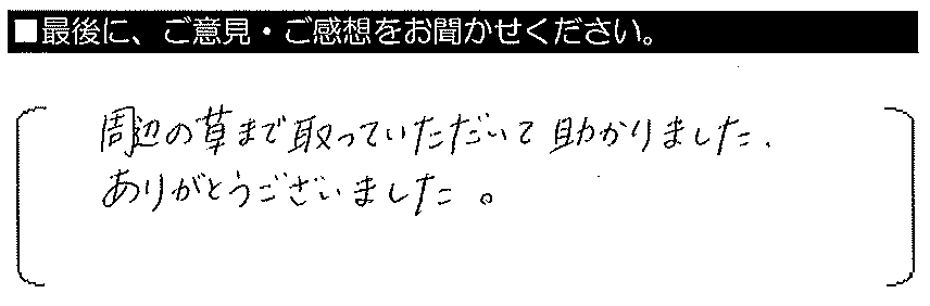 周辺の草までとっていただいて助かりました。ありがとうございました。