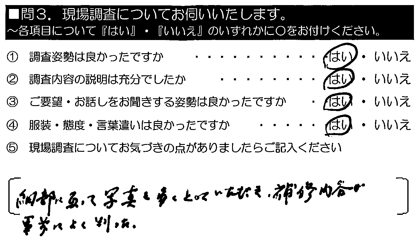 細部に亘って写真を多く撮っていただき、補修内容が事前によく判った。