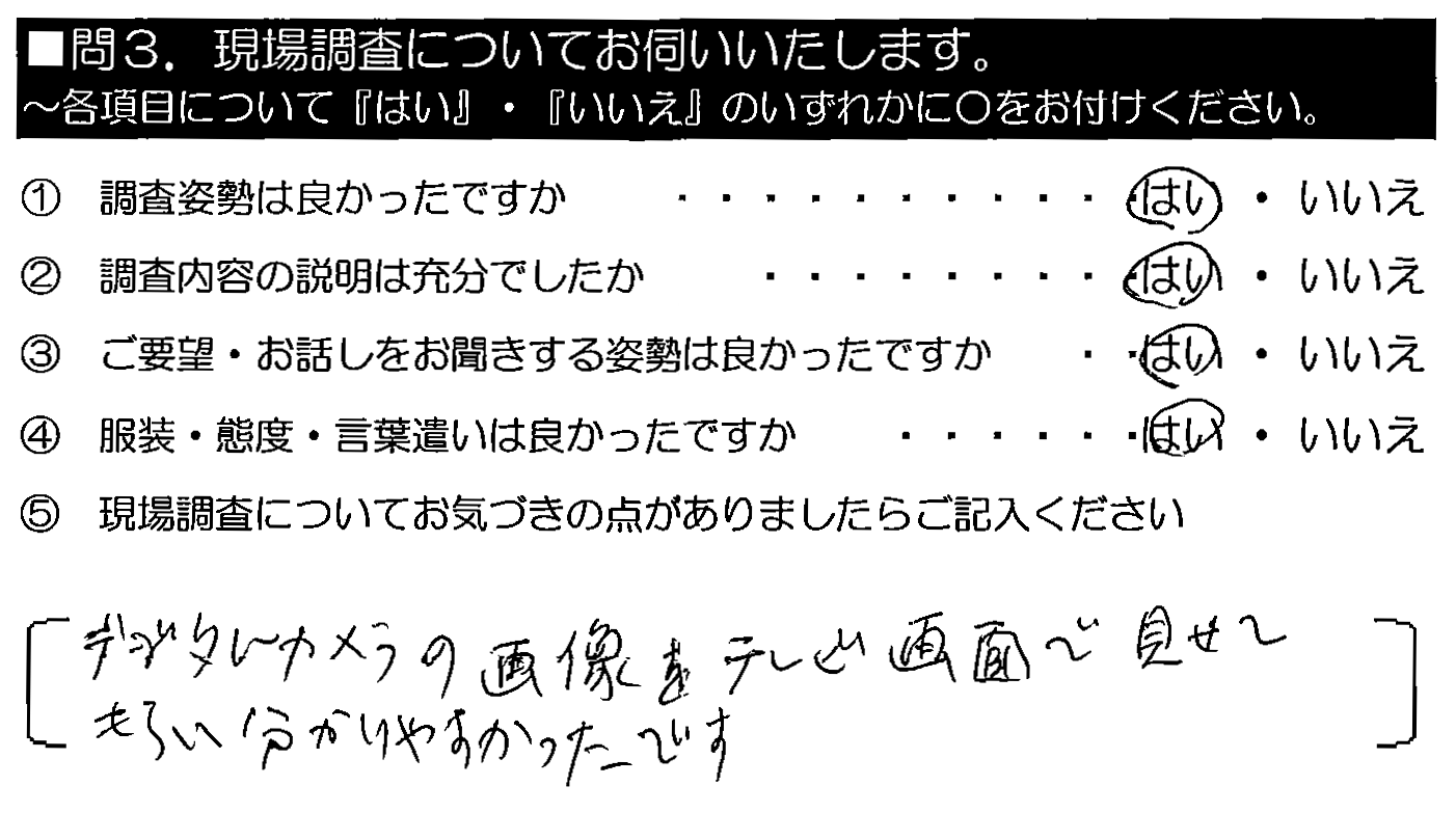 デジタルカメラの画像をテレビ画像で見せて