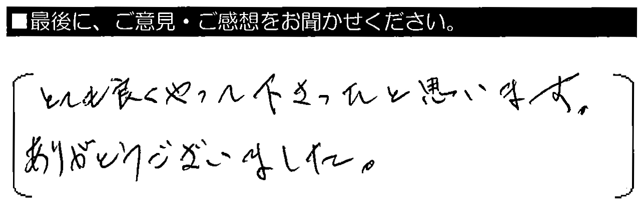 とても良くやって下さったと思います。ありがとうございました。