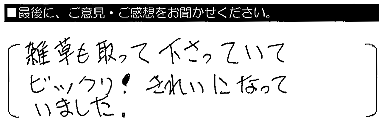 雑草も取ってくださってびっくり！きれいになっていました。