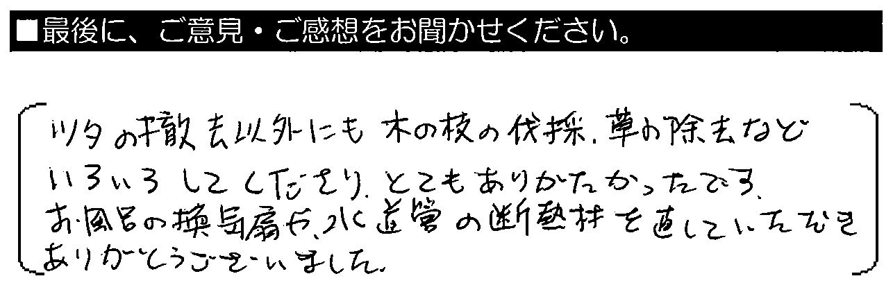 ツタの撤去以外にも、木の枝の伐採・草の除去などいろいろしてくださり、