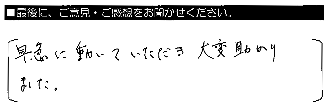 早急に動いていただき大変助かりました。