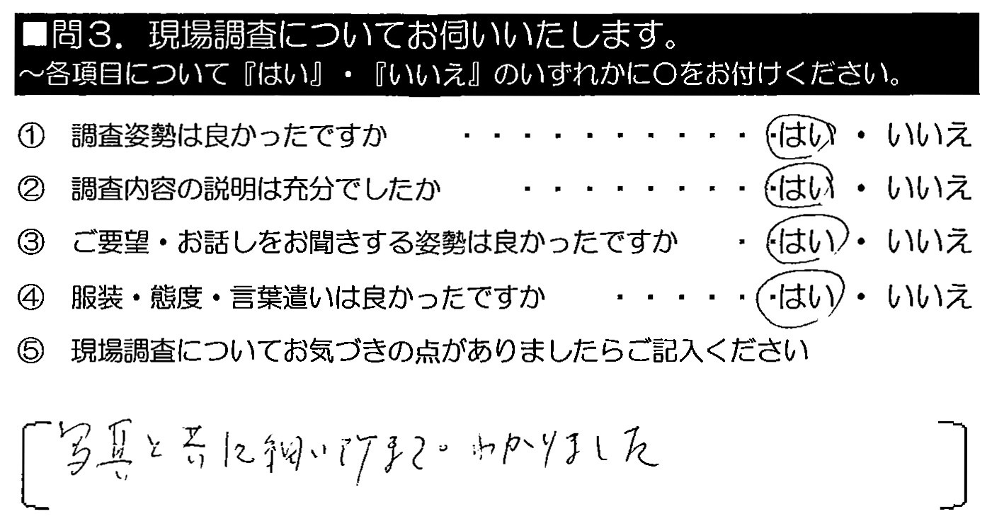 写真と共に細かい所までわかりました。