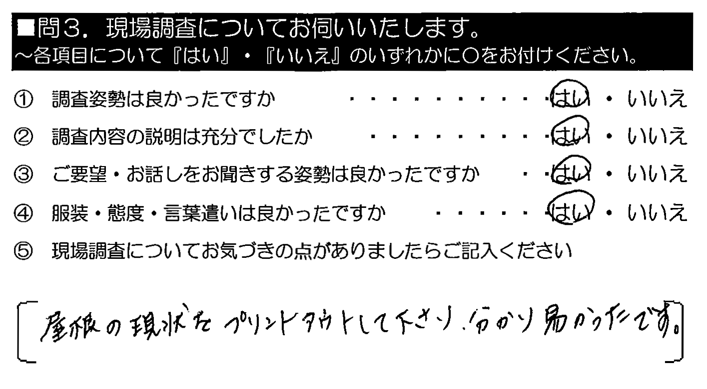 屋根の現状をプリントアウトして下さり、分り易かったです。