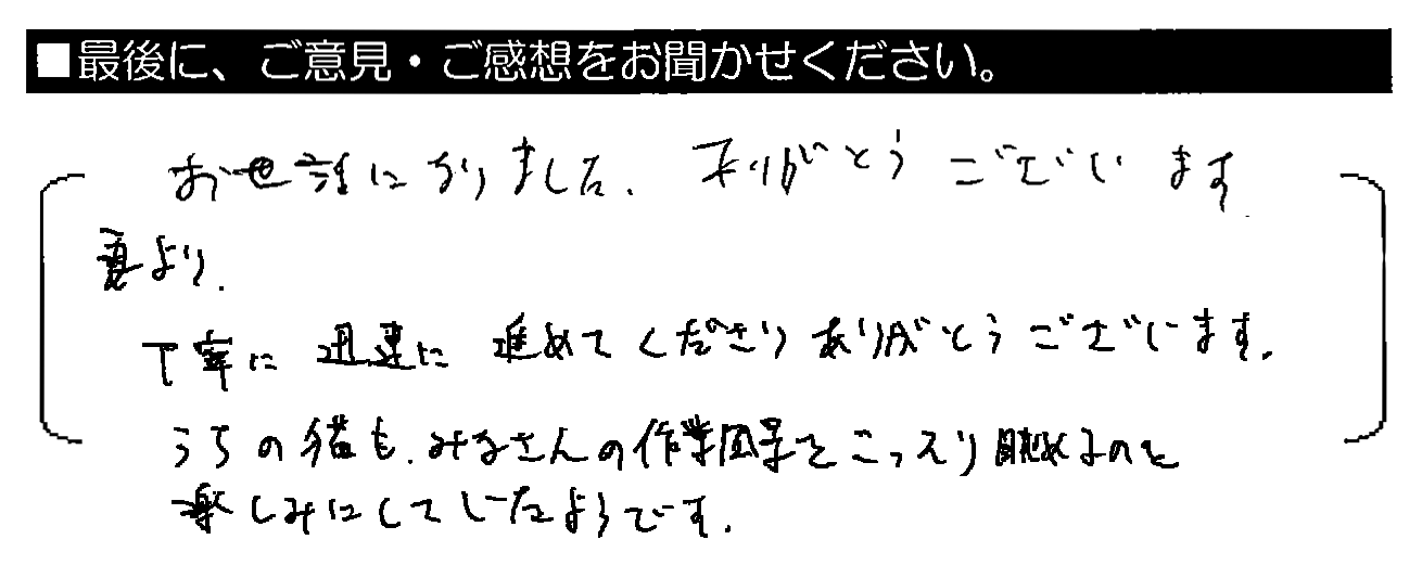 お世話になりました。ありがとうございます。妻より　丁寧に迅速に進めてくださりありがとうございます。うちの猫も、みなさんの作業風景をこっそり眺めるのを楽しみにしていたようです。