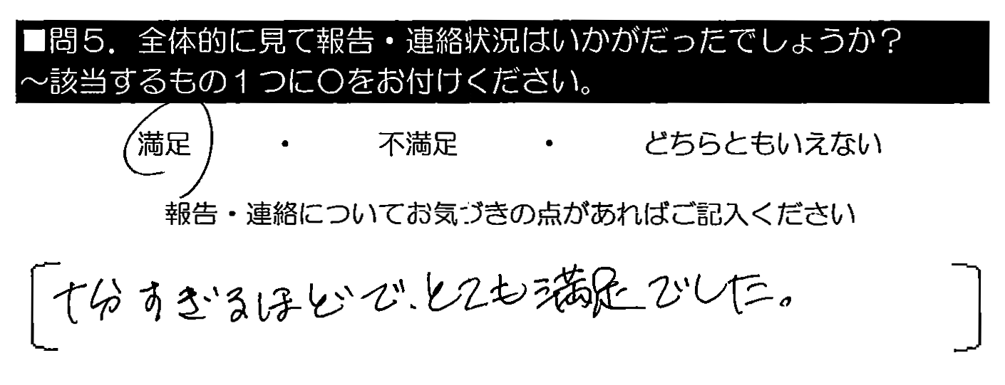 十分すぎるほどで、とても満足でした。