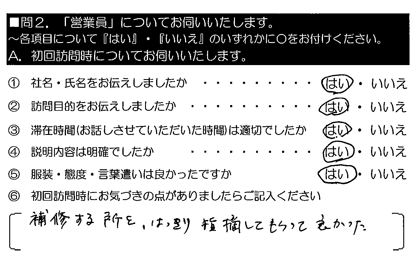 補修する所を、はっきり指摘してもらって良かった。