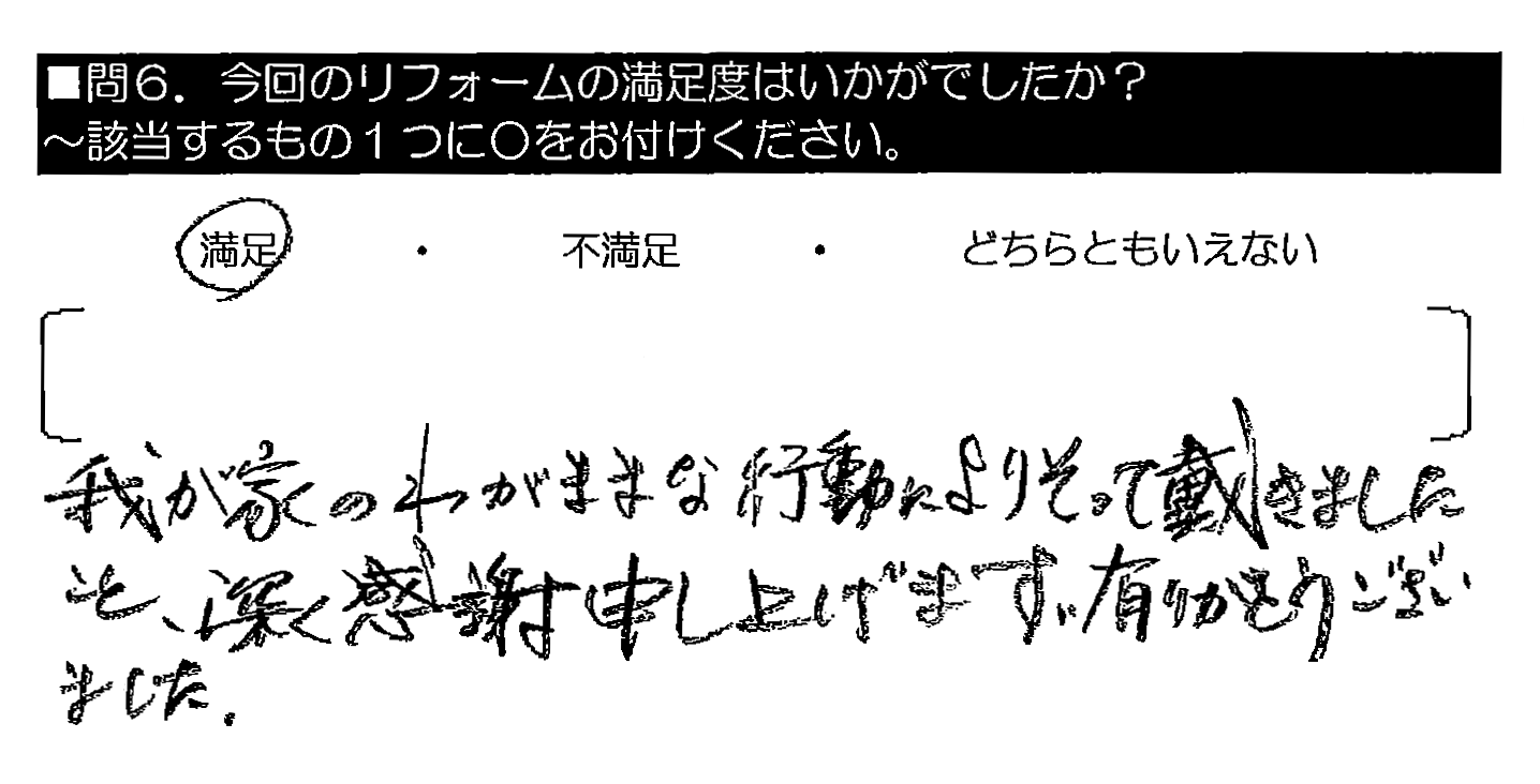 我が家のわがままな行動によりそって戴きましたこと、深く感謝申し上げます。有りがとうございました。