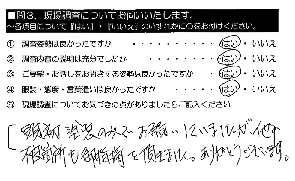 当初塗装のみでお願いしていましたが、他の不良箇所も御指摘を頂きました。ありがとうございます。