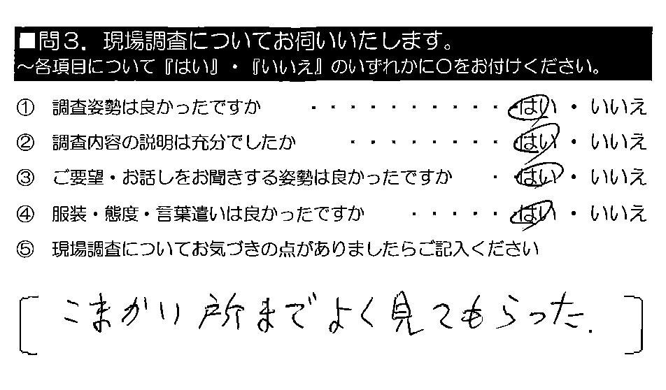 こまかい所までよく見てもらった。